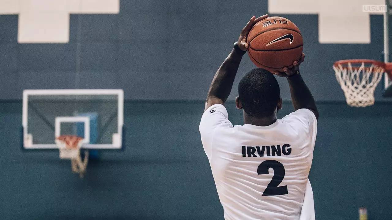 引入潜力股 引入潜力股