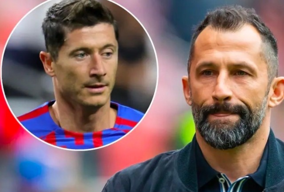 的后勤支持 的后勤支持