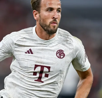 谢什科先占 谢什科先占