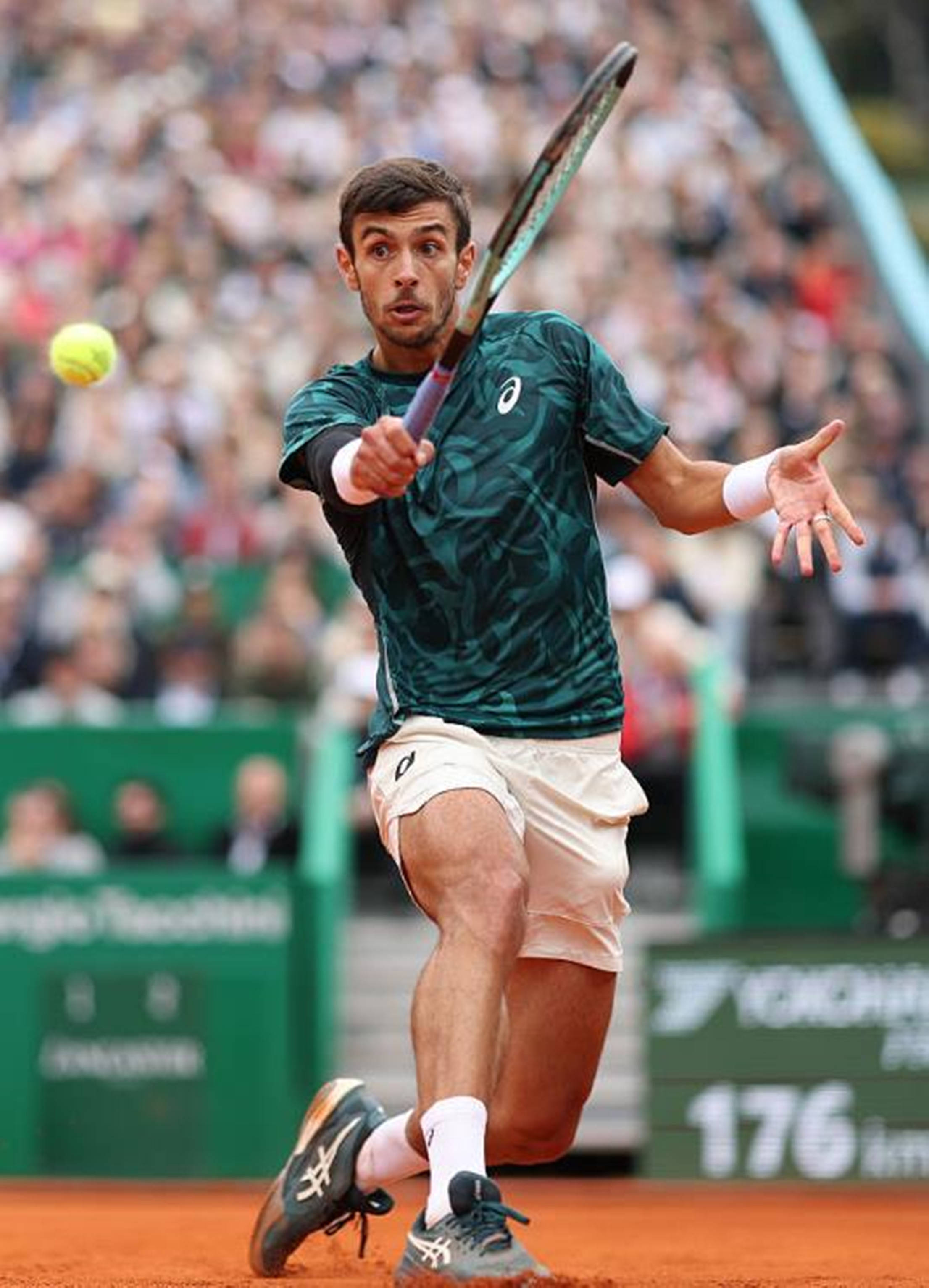 何上海能以 何上海能以